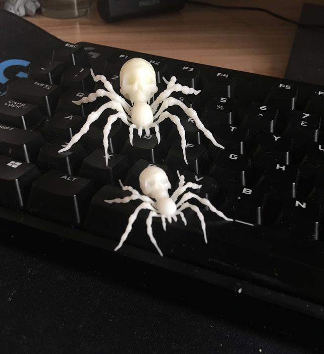 spider5.jpg