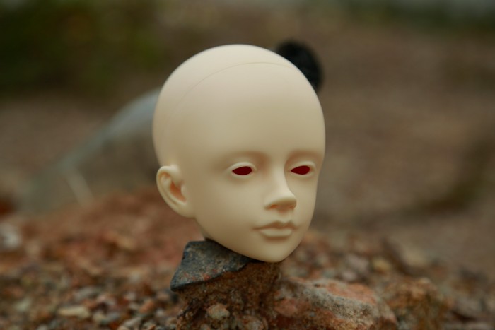 conew__z7a6971.jpg