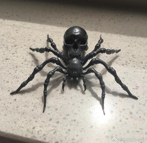 spider5.jpg